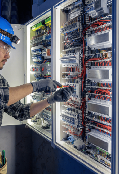 Industeries served-electrical & electronics (1)